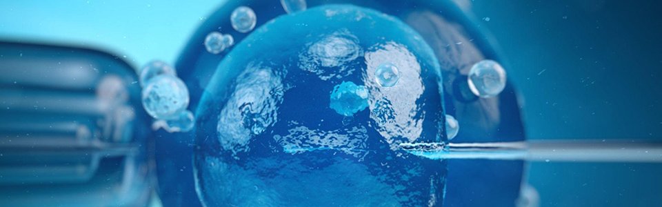 Assisted Reproduction (IVF) Clinic