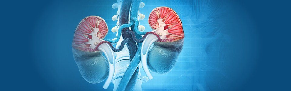 Bladder clinic for children