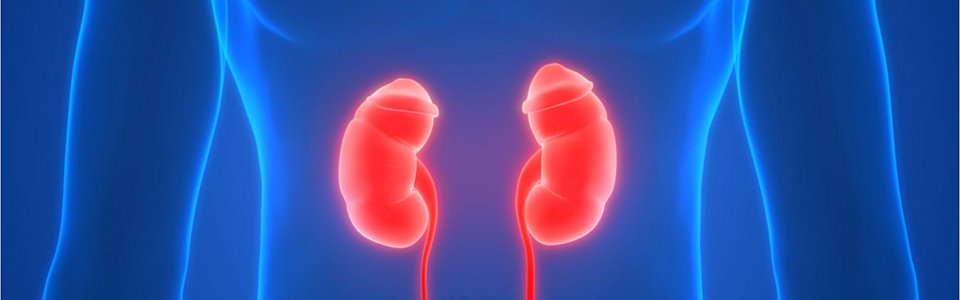 Paediatric Nephrology Clinic