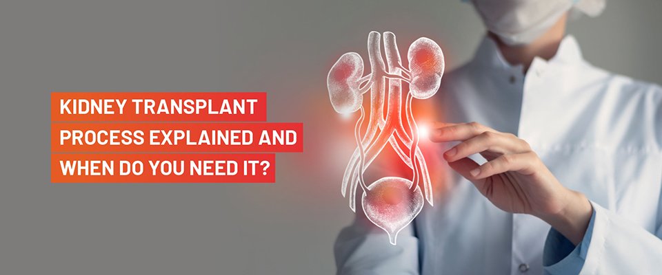 Kidney Transplant Process Explained And When Do You Need It?