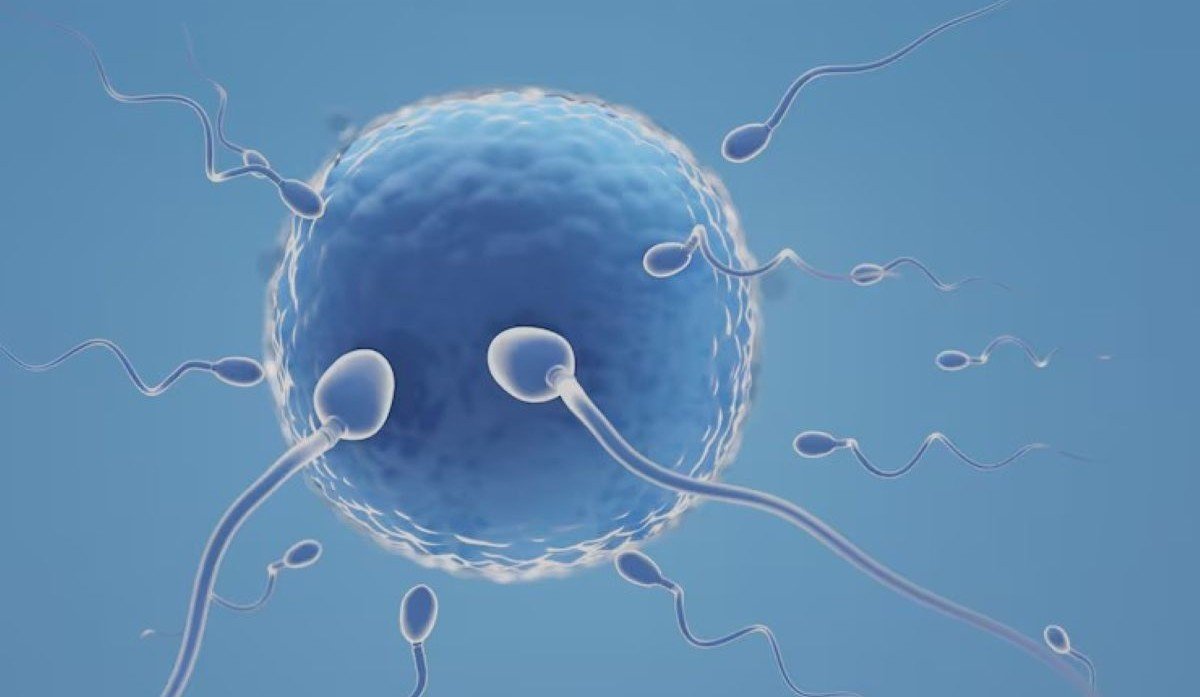 Why Choose Frozen Embryo Transfer? Top 7 Reasons