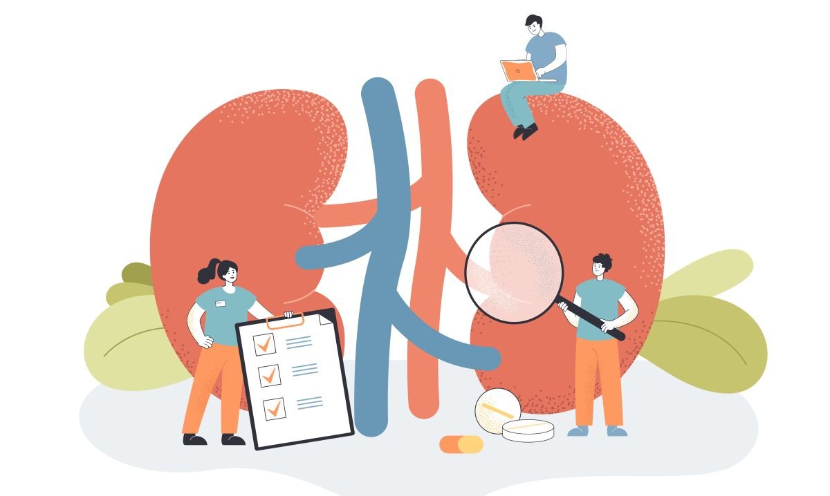 Kidney Health: Importance of Regular Checkups