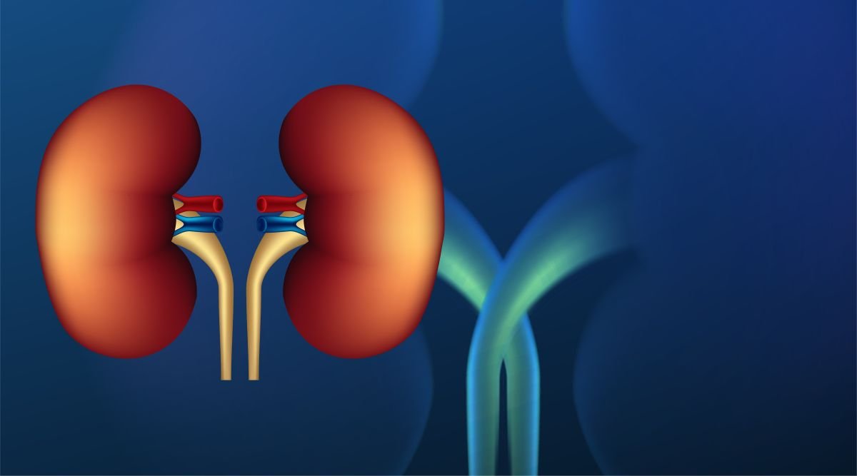 Understanding Dialysis: What Patients Need to Know