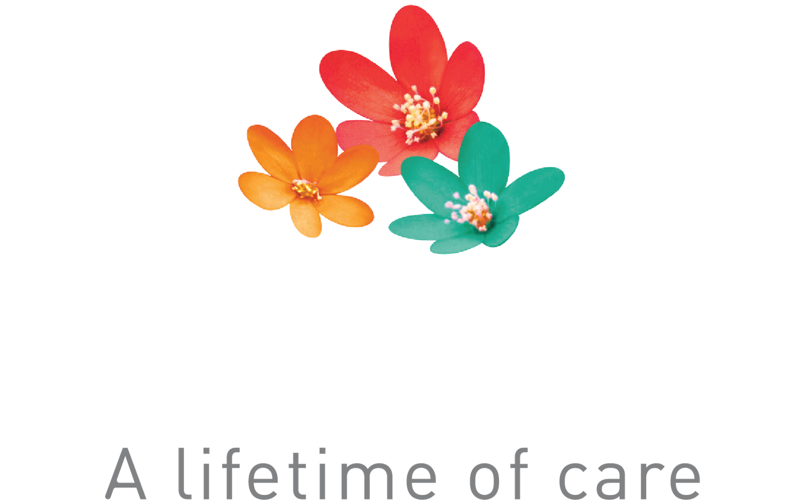 jaslok hospital